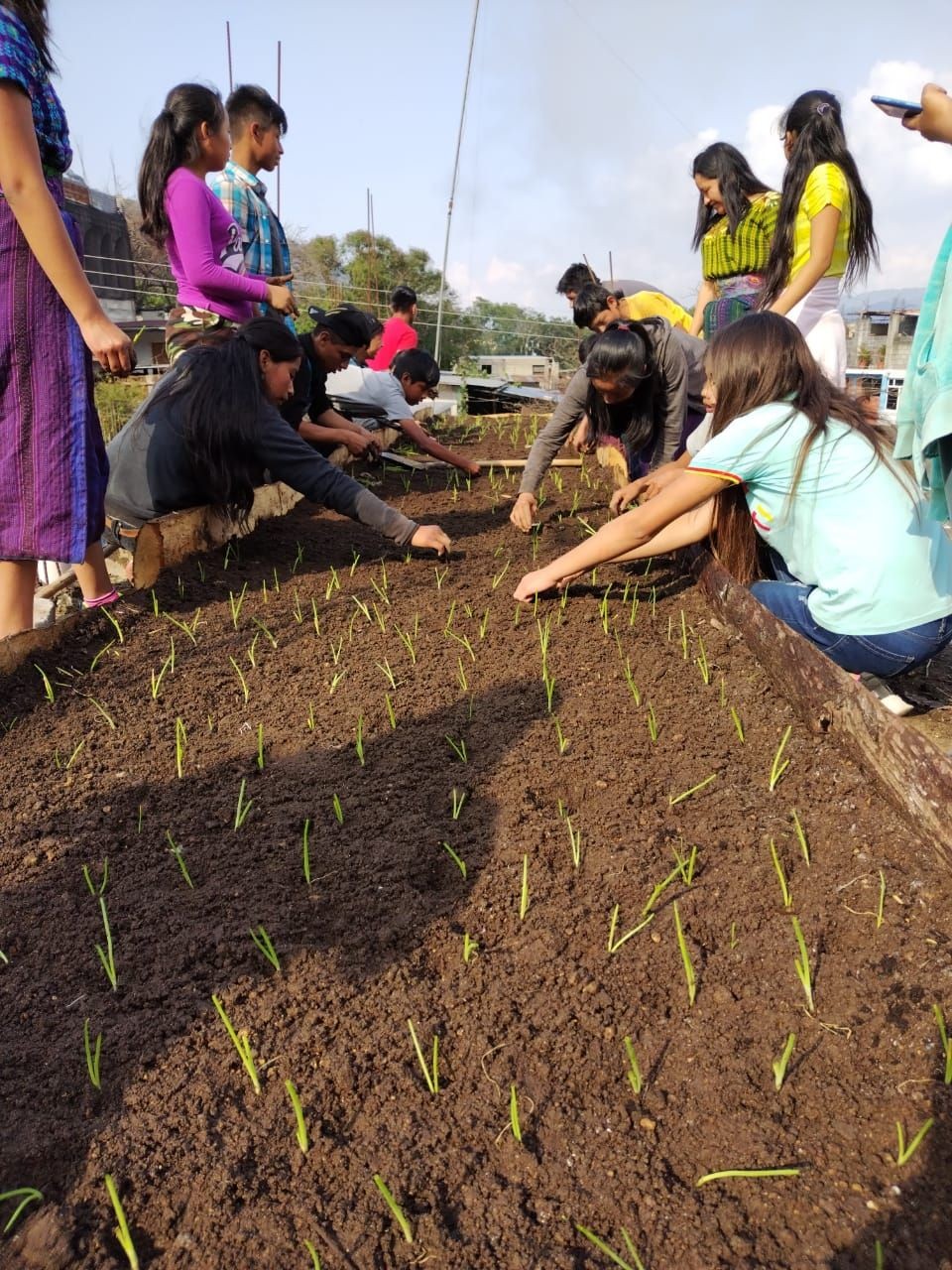 Youth Education: Gardening, Reforestation, Recycling